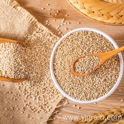 Wholesale Agriculture Products High Quality sesame seed